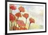 Poppies in Cream-Jennifer Lommers-Framed Giclee Print