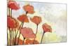 Poppies in Cream-Jennifer Lommers-Mounted Giclee Print