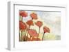 Poppies in Cream-Jennifer Lommers-Framed Art Print