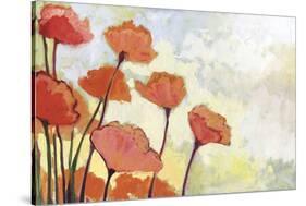 Poppies in Cream-Jennifer Lommers-Stretched Canvas