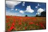 Poppies in field near Binham and Holt, North Norfolk-Geraint Tellem-Mounted Photographic Print