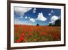 Poppies in field near Binham and Holt, North Norfolk-Geraint Tellem-Framed Photographic Print