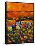 Poppies In Houroy-Pol Ledent-Framed Stretched Canvas