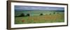 Poppies in June, the South Downs Near Brighton, Sussex, England, United Kingdom, Europe-John Miller-Framed Photographic Print