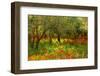Poppies in Olive Orchard, Sicily-Caroyl La Barge-Framed Photographic Print