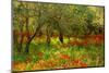 Poppies in Olive Orchard, Sicily-Caroyl La Barge-Mounted Photographic Print