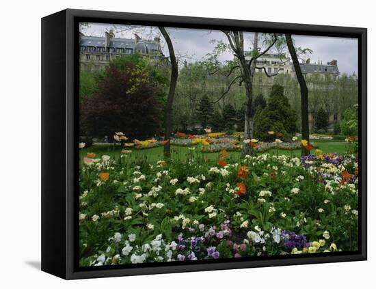 Poppies in Parc De Monceau, Paris, France, Europe-Nigel Francis-Framed Stretched Canvas