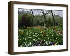 Poppies in Parc De Monceau, Paris, France, Europe-Nigel Francis-Framed Photographic Print