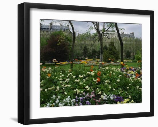Poppies in Parc De Monceau, Paris, France, Europe-Nigel Francis-Framed Photographic Print
