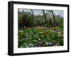 Poppies in Parc De Monceau, Paris, France, Europe-Nigel Francis-Framed Photographic Print