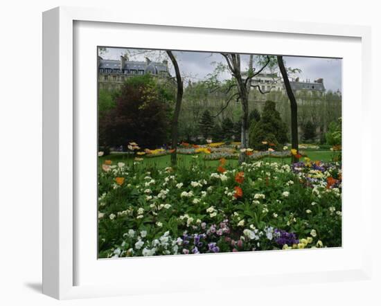 Poppies in Parc De Monceau, Paris, France, Europe-Nigel Francis-Framed Photographic Print