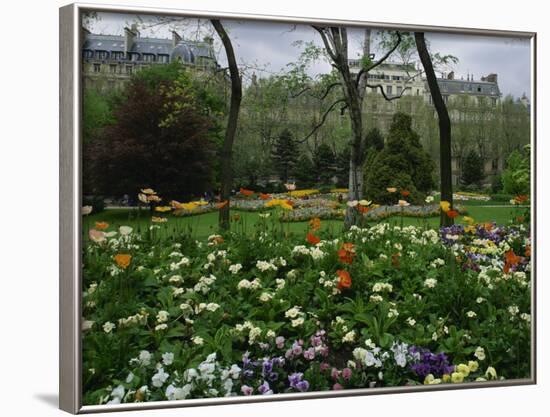 Poppies in Parc De Monceau, Paris, France, Europe-Nigel Francis-Framed Photographic Print