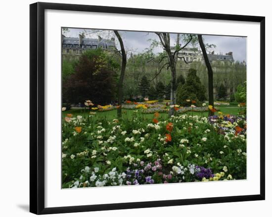 Poppies in Parc De Monceau, Paris, France, Europe-Nigel Francis-Framed Photographic Print