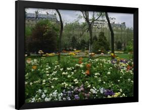 Poppies in Parc De Monceau, Paris, France, Europe-Nigel Francis-Framed Photographic Print