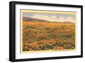 Poppies in San Luis Obispo-null-Framed Art Print