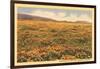 Poppies in San Luis Obispo-null-Framed Art Print