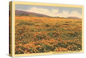 Poppies in San Luis Obispo-null-Stretched Canvas