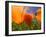 Poppies in Spring Bloom, Lancaster, California, USA-Terry Eggers-Framed Premium Photographic Print