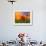 Poppies in Spring Bloom, Lancaster, California, USA-Terry Eggers-Framed Photographic Print displayed on a wall