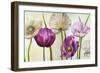 Poppies in Spring II-Patricia Pinto-Framed Art Print