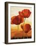 Poppies in Sunlight I-Andrea Kahn-Framed Art Print