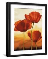 Poppies in Sunlight I-Andrea Kahn-Framed Art Print