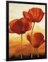 Poppies in Sunlight I-Andrea Kahn-Framed Art Print