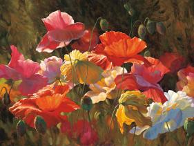 Poppies in Sunshine-Leon Roulette-Framed Art Print