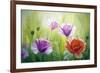 Poppies In The Morning, Oil Painting On Canvas-Valenty-Framed Art Print