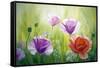 Poppies In The Morning, Oil Painting On Canvas-Valenty-Framed Stretched Canvas