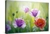 Poppies In The Morning, Oil Painting On Canvas-Valenty-Stretched Canvas