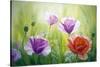 Poppies In The Morning, Oil Painting On Canvas-Valenty-Stretched Canvas