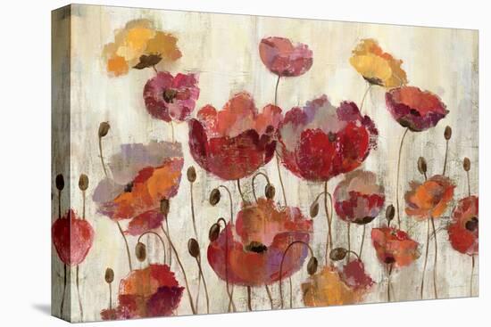 Poppies in the Rain-Silvia Vassileva-Stretched Canvas