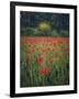 Poppies in the Wheat-Dawne Polis-Framed Art Print