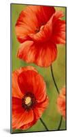 Poppies in the wind I-Luca Villa-Mounted Giclee Print