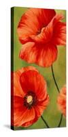 Poppies in the wind I-Luca Villa-Stretched Canvas