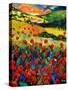 Poppies In Tuscany-Pol Ledent-Stretched Canvas