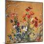 Poppies, Irises and Blossom-Jean Benner-Mounted Giclee Print