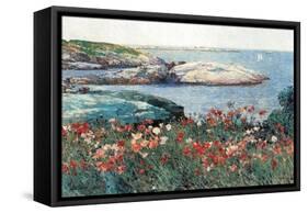 Poppies, Isle of Shoals-Childe Hassam-Framed Stretched Canvas