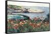 Poppies, Isle of Shoals-Childe Hassam-Framed Stretched Canvas