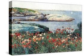Poppies, Isle of Shoals-Childe Hassam-Stretched Canvas