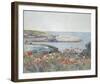 Poppies, Isles of Shoals 1891-Frederick Childe Hassam-Framed Giclee Print