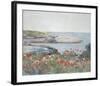 Poppies, Isles of Shoals 1891-Frederick Childe Hassam-Framed Art Print