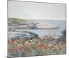 Poppies, Isles of Shoals 1891-Frederick Childe Hassam-Mounted Art Print