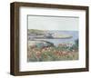 Poppies, Isles of Shoals, 1891-Childe Hassam-Framed Art Print