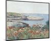 Poppies, Isles of Shoals, 1891-Childe Hassam-Mounted Art Print