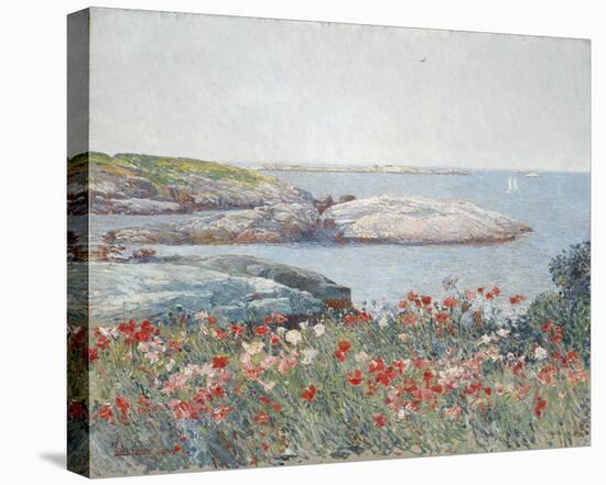 Poppies, Isles of Shoals 1891-Frederick Childe Hassam-Stretched Canvas