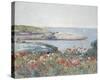 Poppies, Isles of Shoals 1891-Frederick Childe Hassam-Stretched Canvas