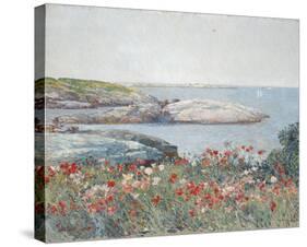 Poppies, Isles of Shoals 1891-Frederick Childe Hassam-Stretched Canvas