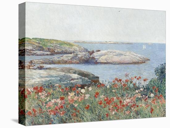Poppies, Isles of Shoals, America, 1891-Childe Hassam-Stretched Canvas